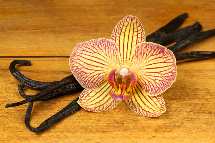 five grade A vanilla beans with vanilla orchid flower