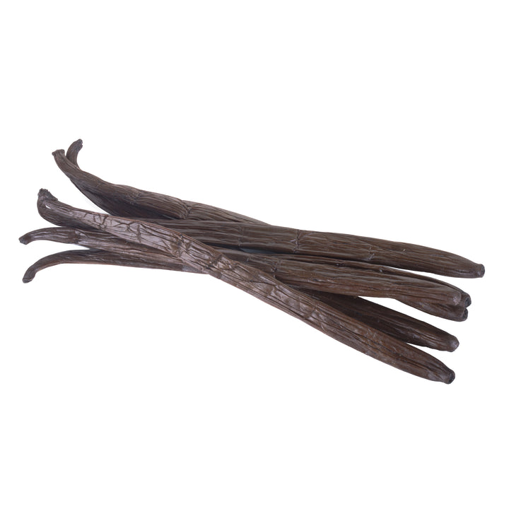 bundle of plump vanilla beans for extract