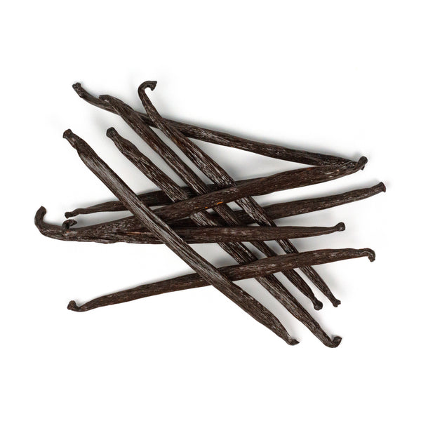 Mexican San Luis Potosi vanilla beans with white background