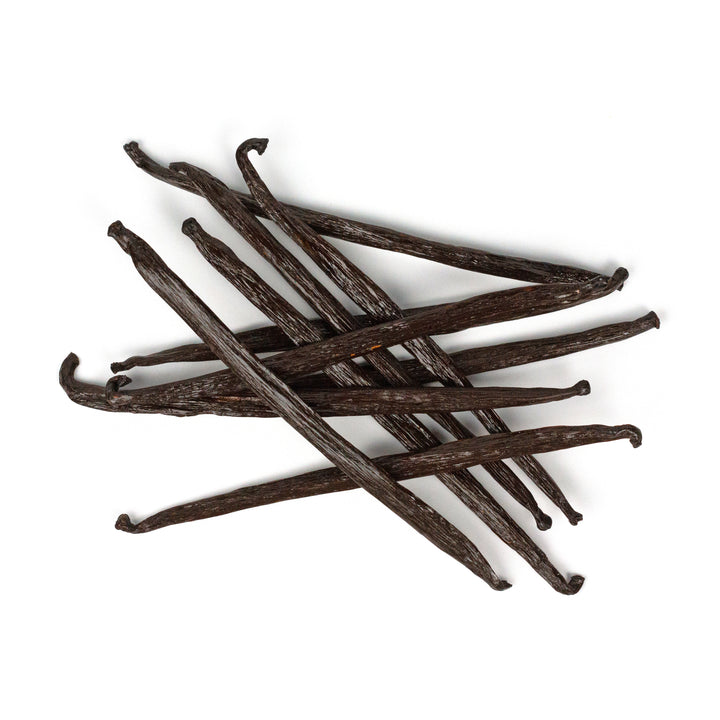 Mexican San Luis Potosi vanilla beans with white background