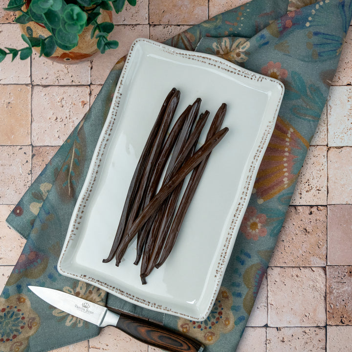 Nicaragua Vanilla Beans on white plate 