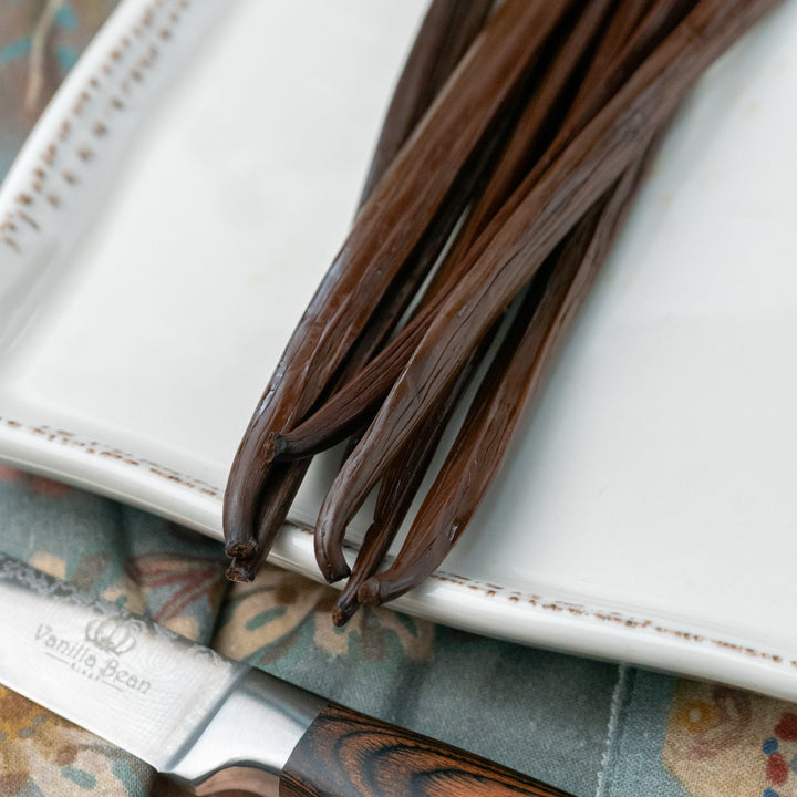 Close up of Nicaragua Vanilla Beans