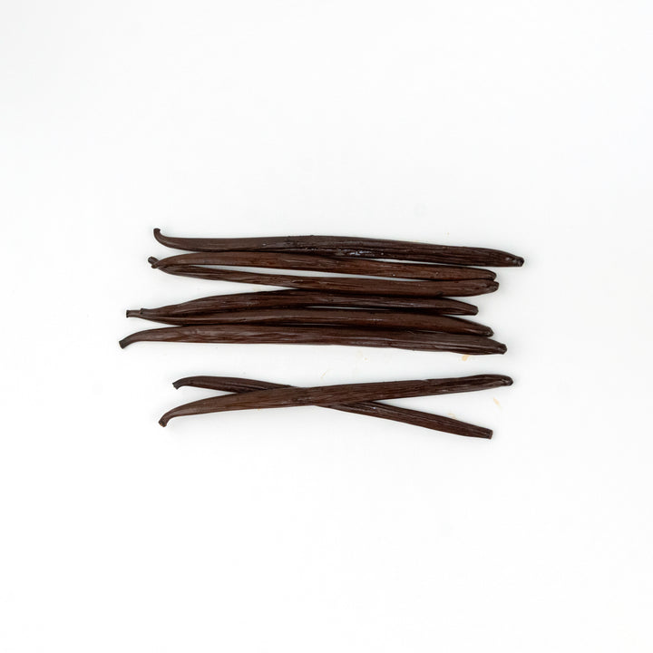 Nicaragua Planifolia vanilla beans white background 