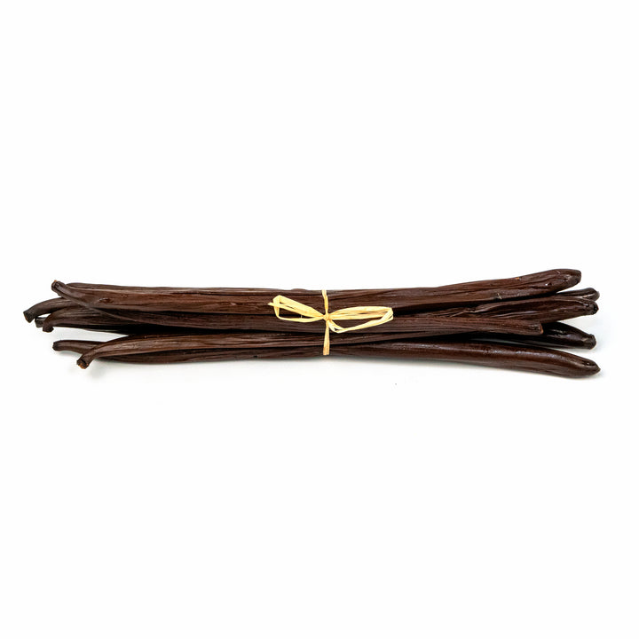 Bundle of Nicaragua Planifolia vanilla beans with white background 
