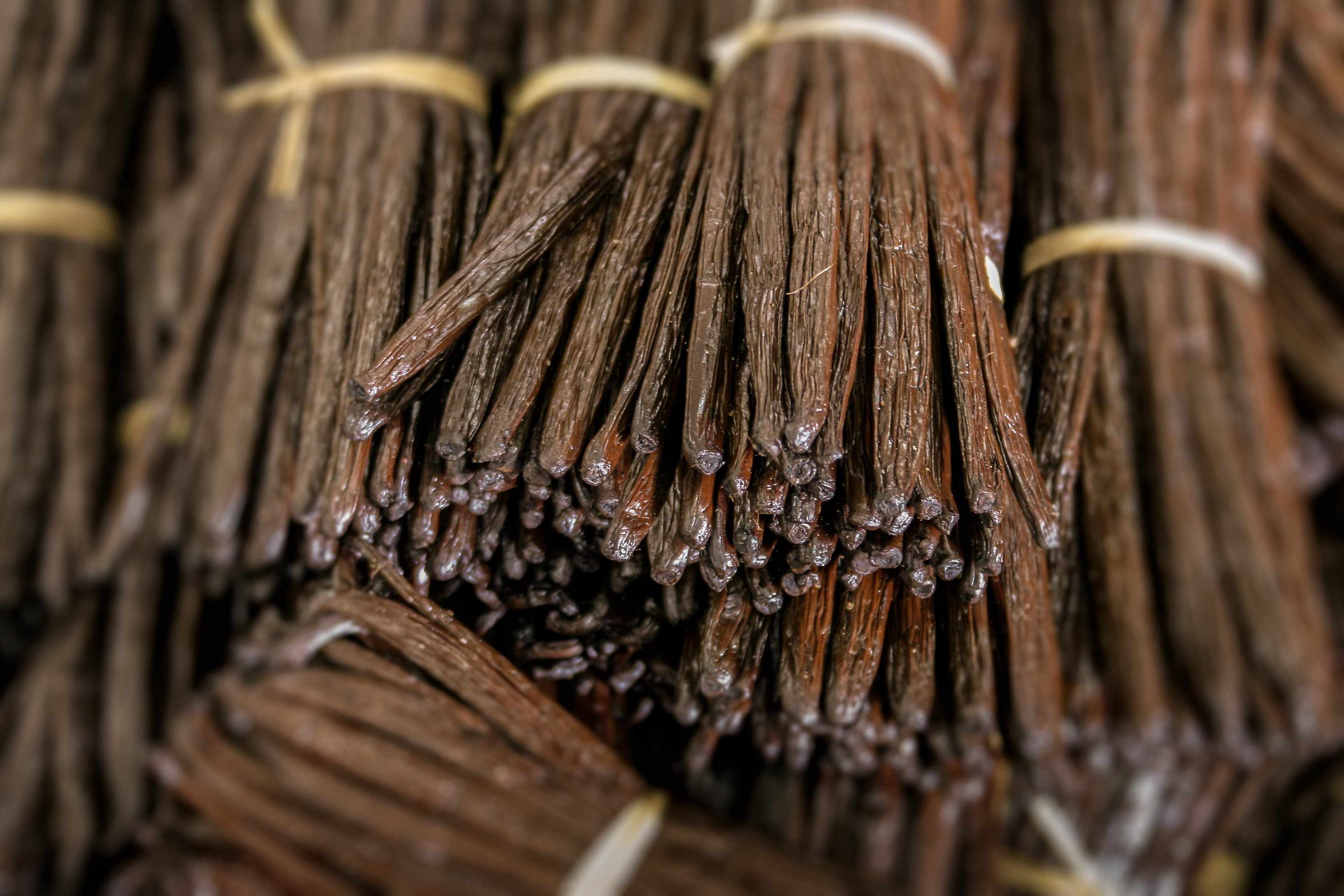 multiple bundles of Madagascar vanilla beans in bulk