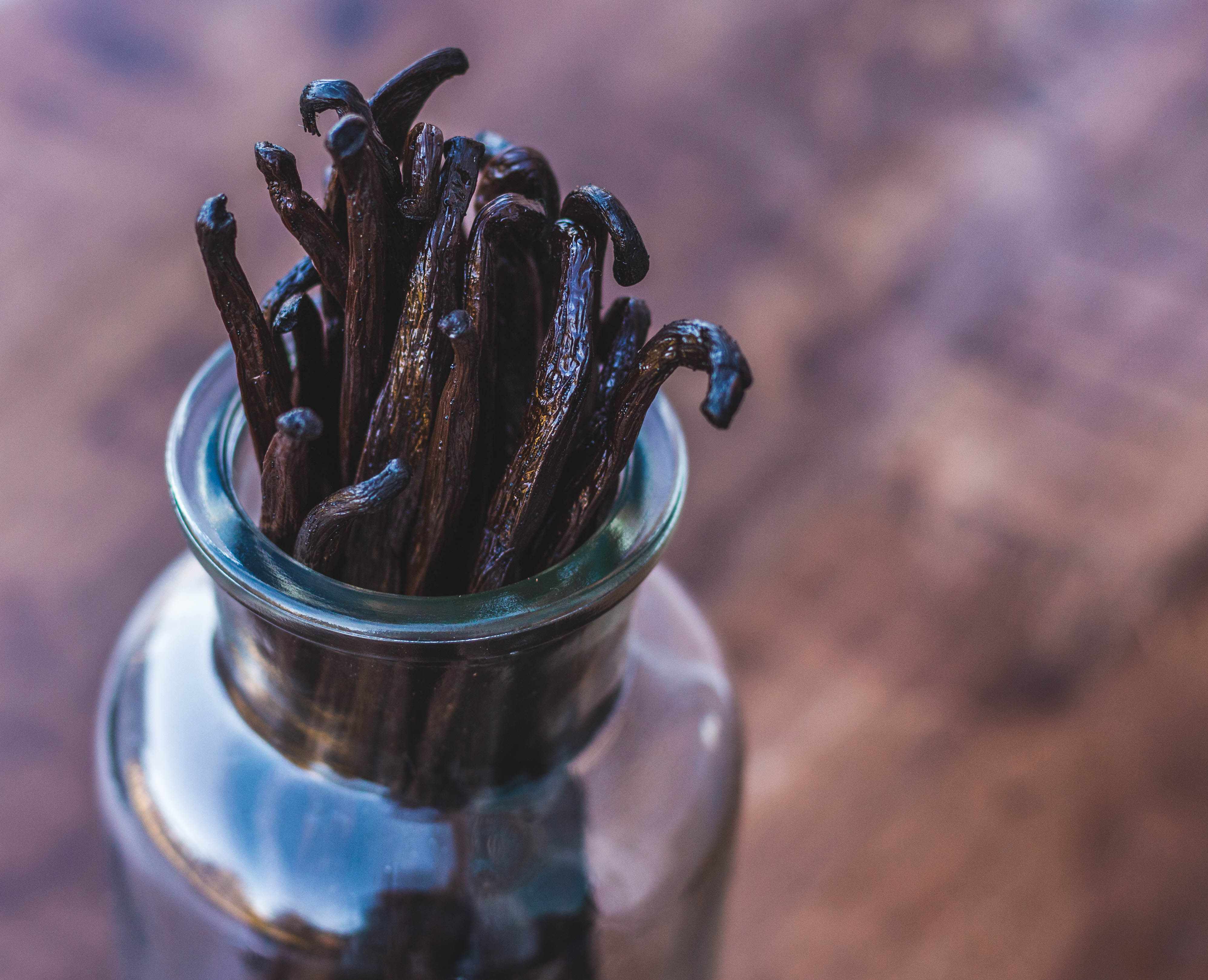 close up view of vanilla beans in jar