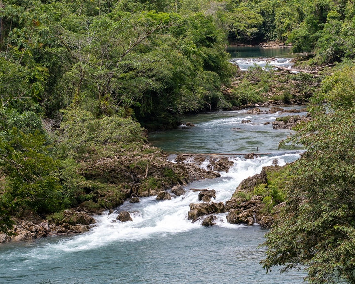 a flowing river by a guatemala vanilla farm