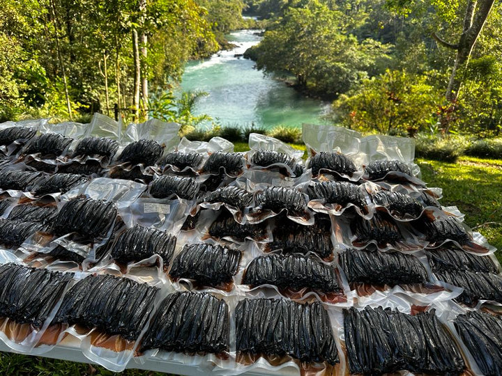 vanilla beans by a flowing river