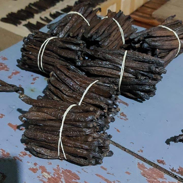 many bundles of vanilla beans
