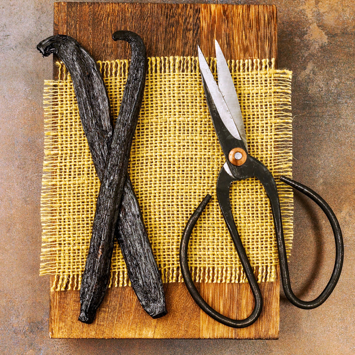 2 vanilla beans on cutting board next to scissors