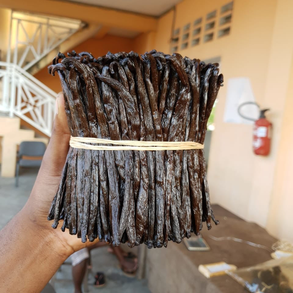 Hybrid Madagascar Mexican Cure Vanilla Beans Grade A Pods Vanilla Bean Kings