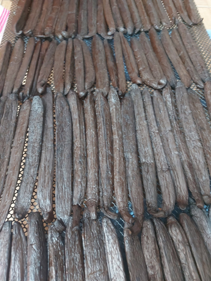 peru vanilla curing in the sun
