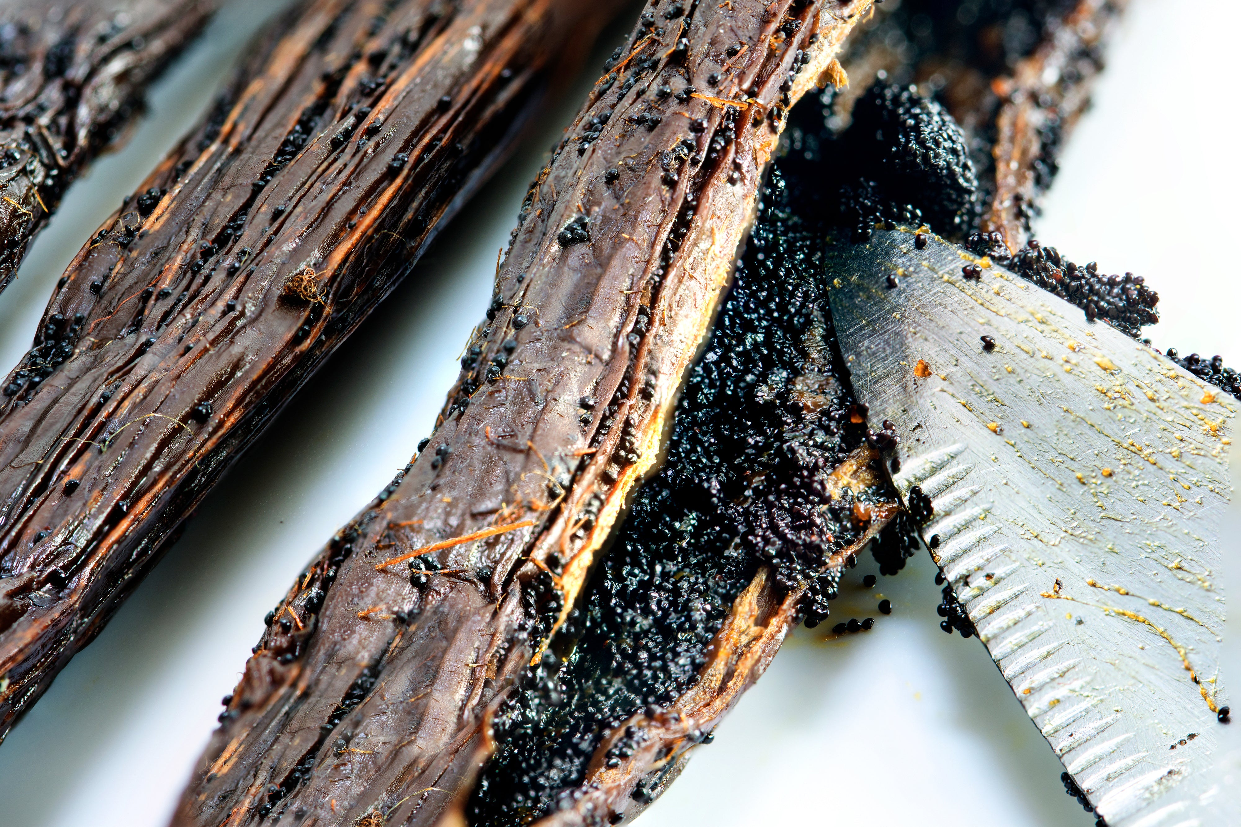 close up split vanilla bean