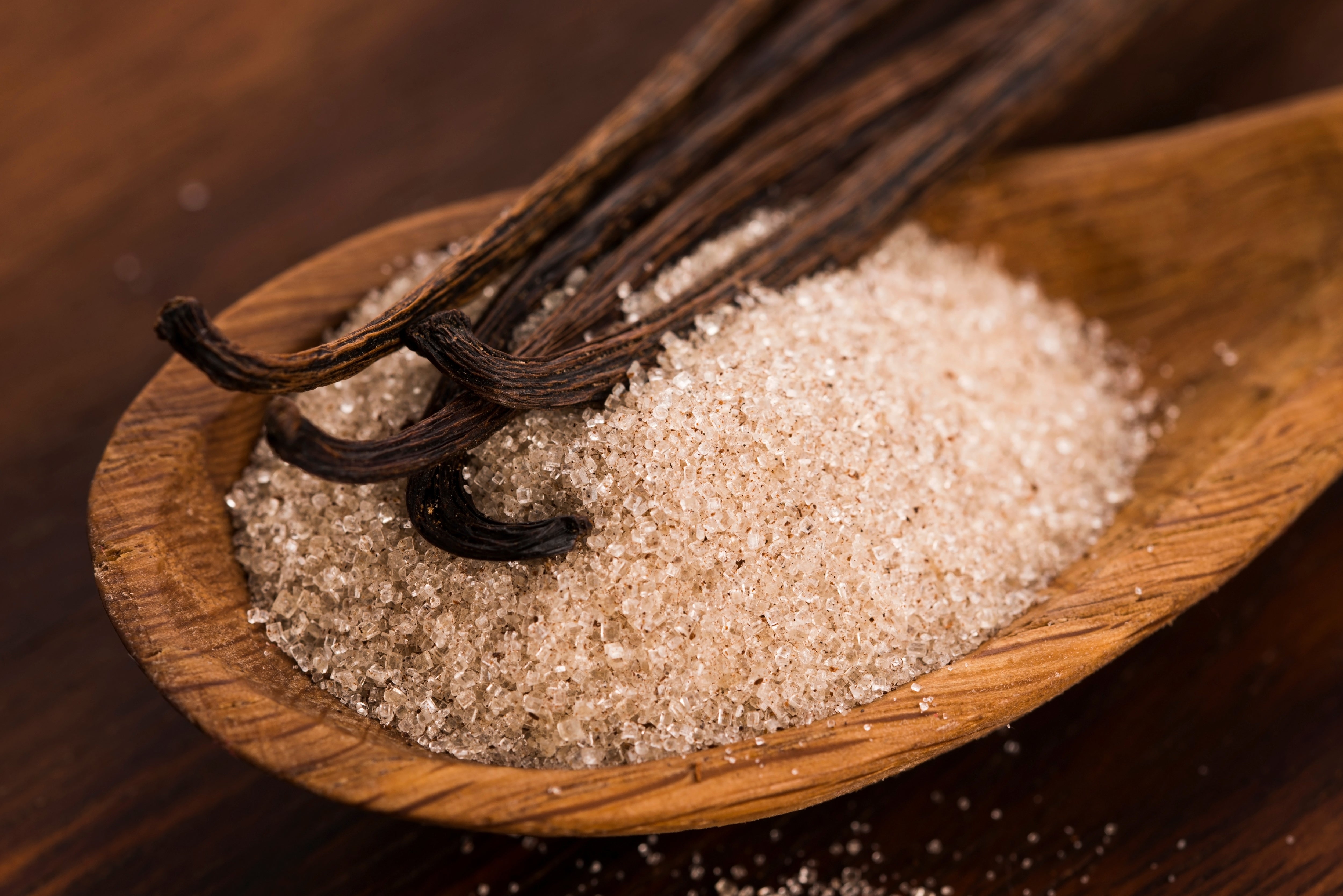 vanilla bean sugar on spoon