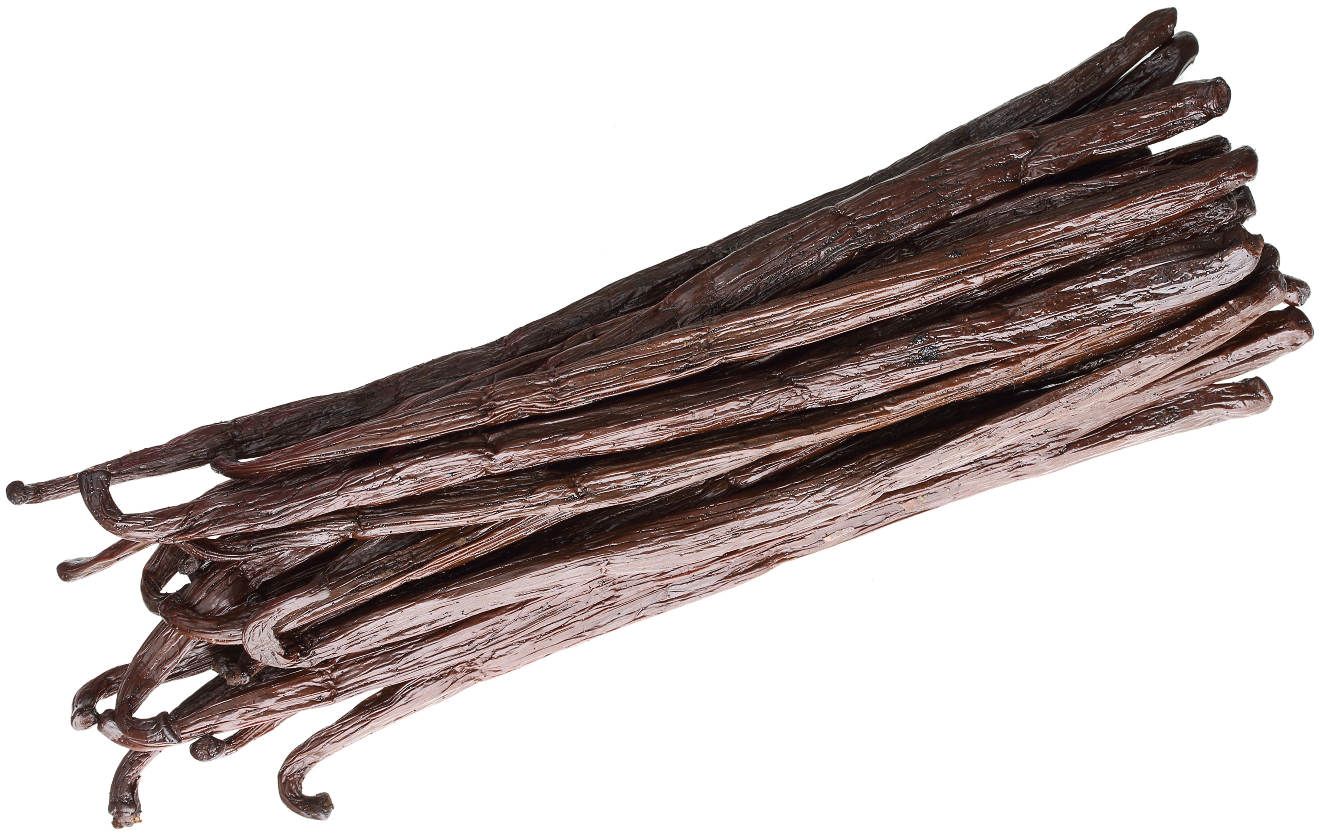 gourmet vanilla bean grade a bundle