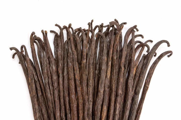 vanilla beans spread out over white background