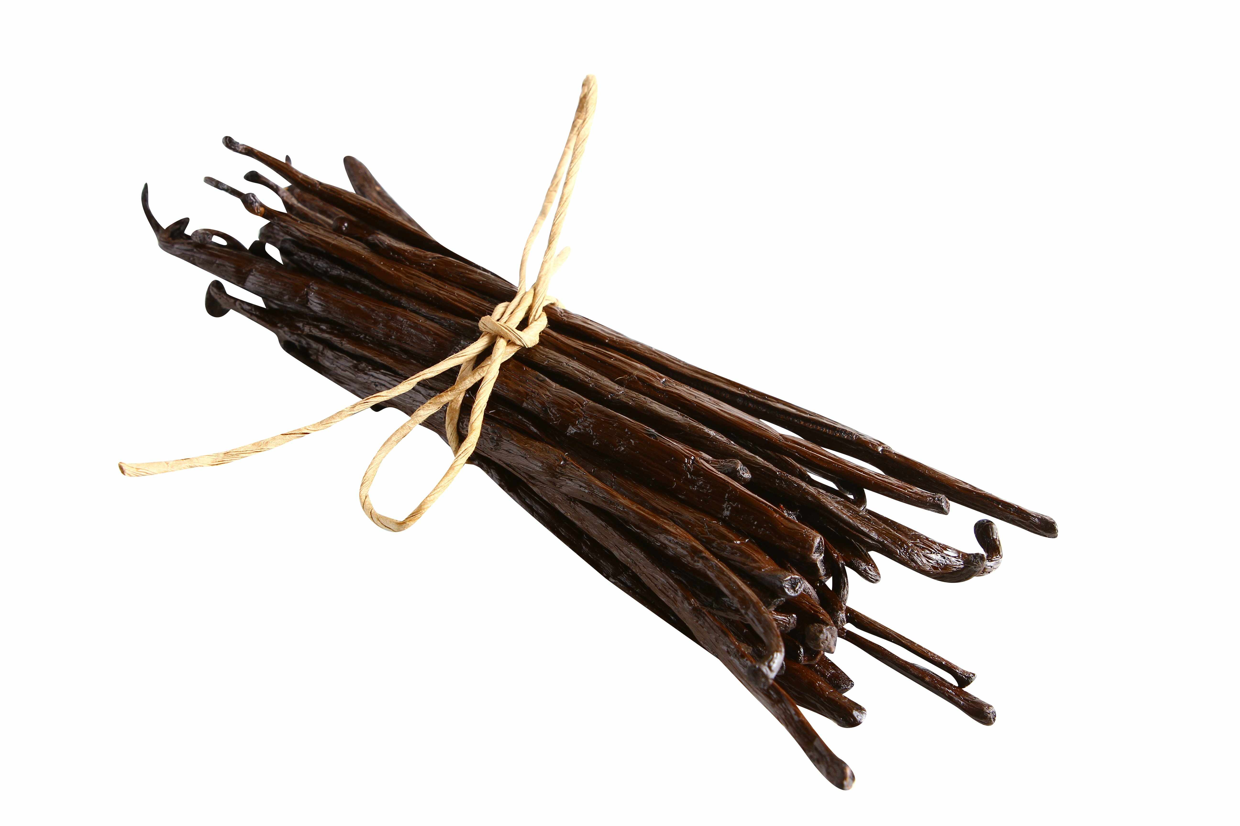 whole vanilla beans in bundle on white background