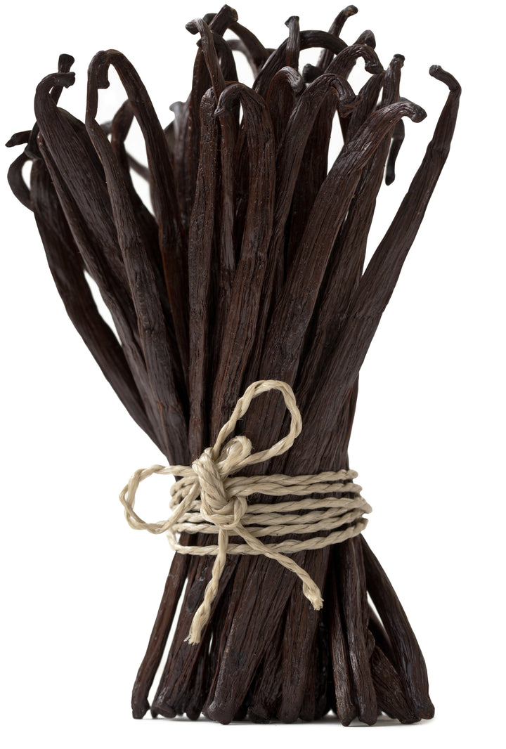 grade A vanilla beans in upright position