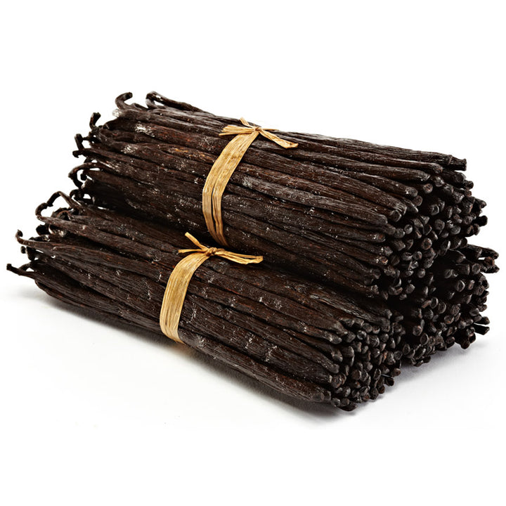 large bundle of bulk vanilla beans
