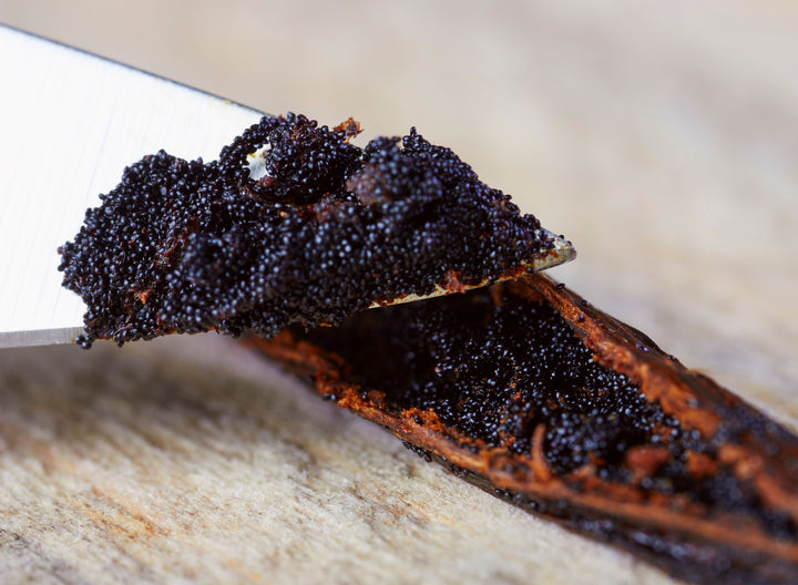 close up image of caviar on knife tip with split vanilla bean below