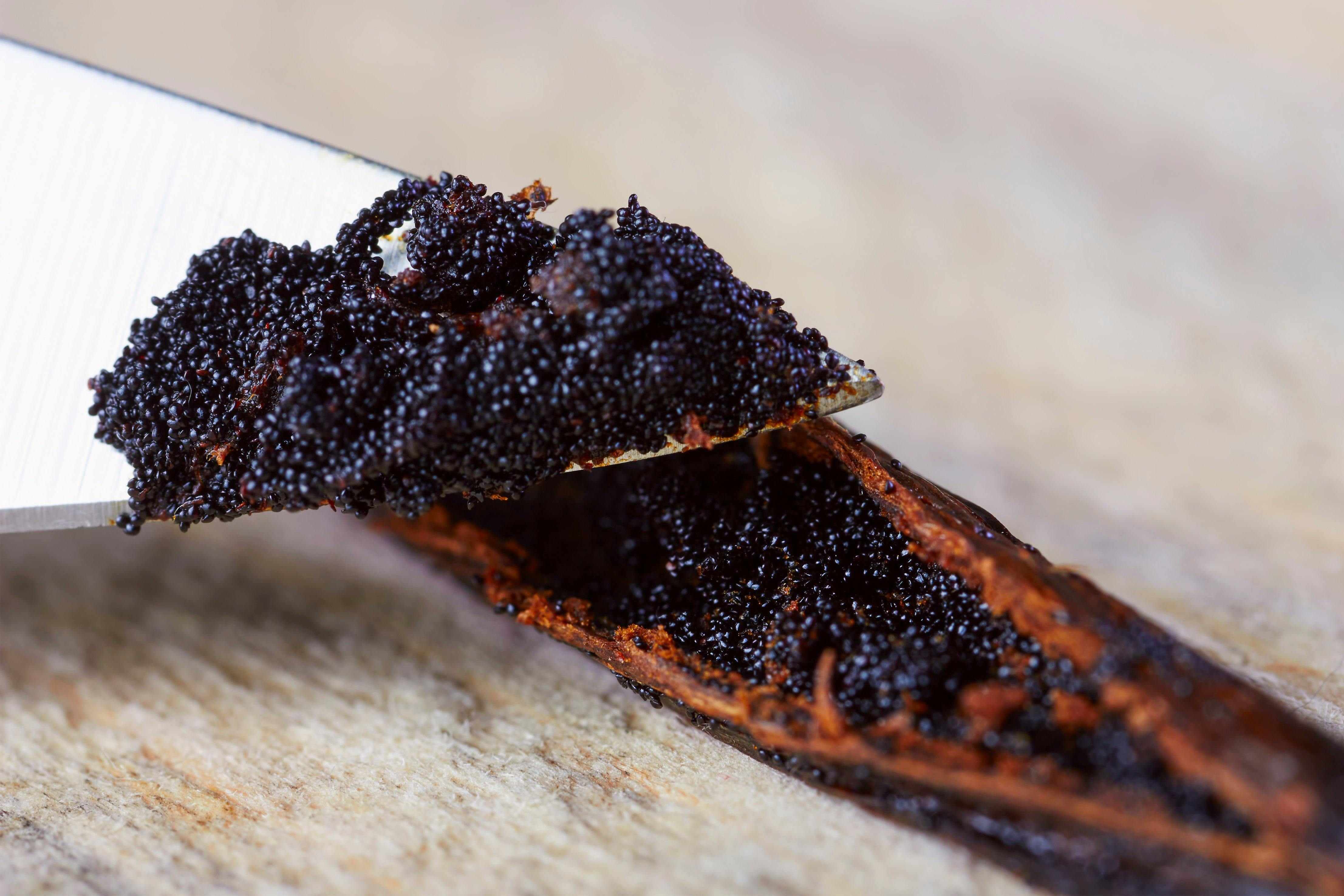 vanilla beans split displaying caviar with knife