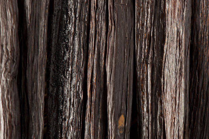 close up image of vanilla beans displaying texture