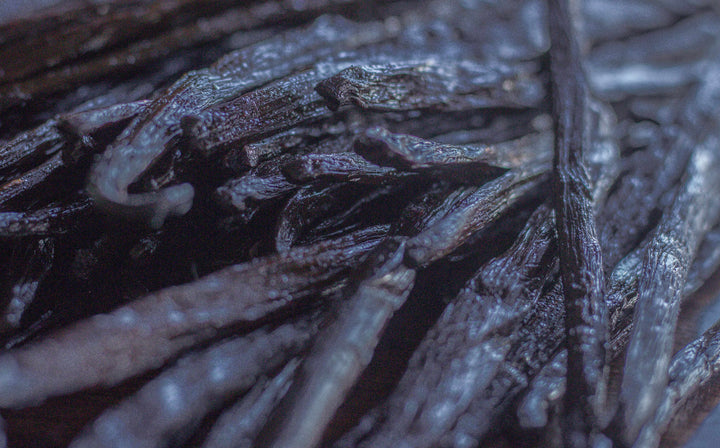 Image of Gourmet vanilla beans
