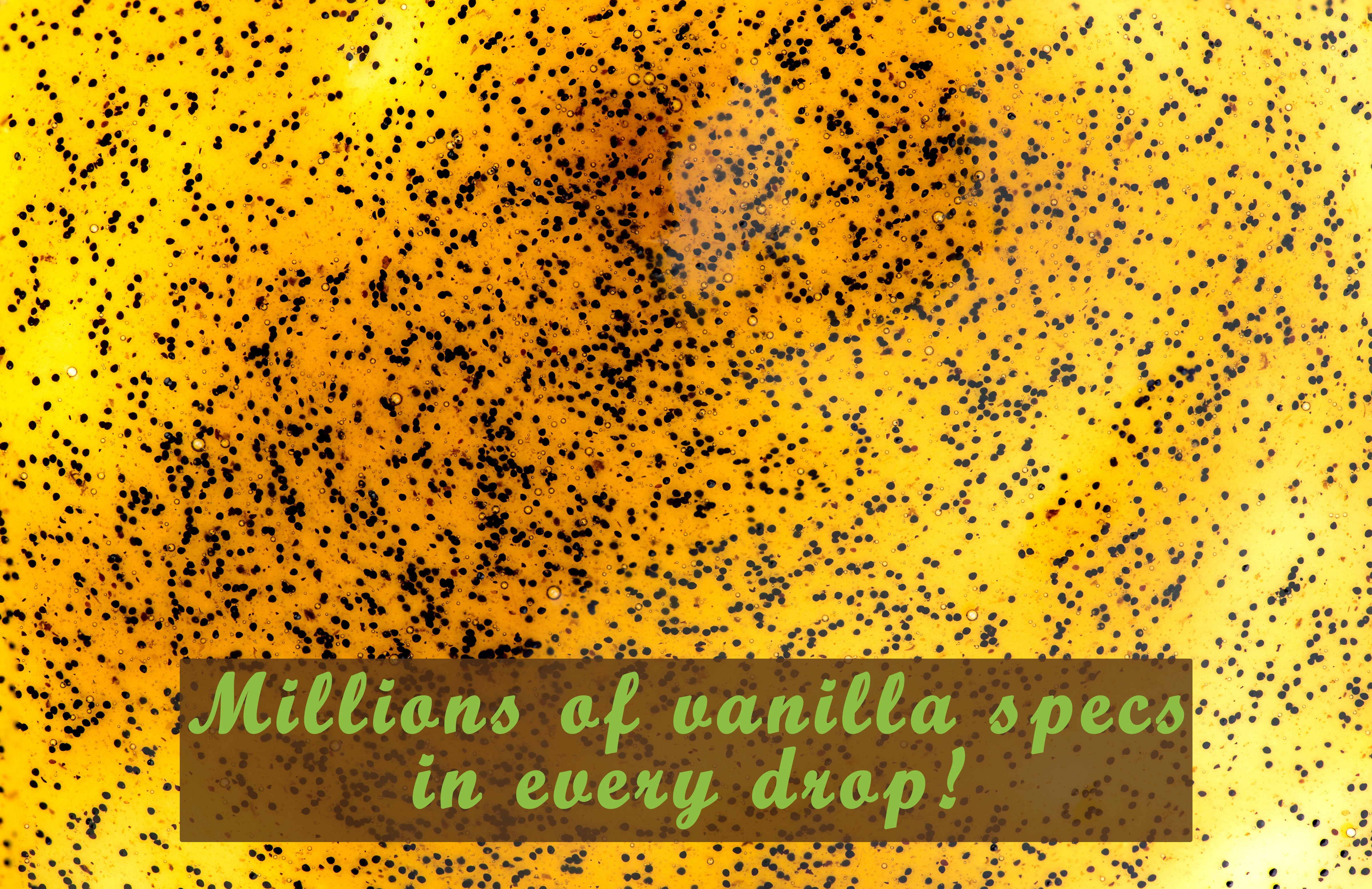 vanilla bean paste close up with tiny seeds