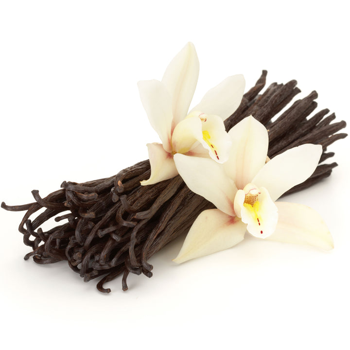 bundle of vanilla beans with vanilla flower