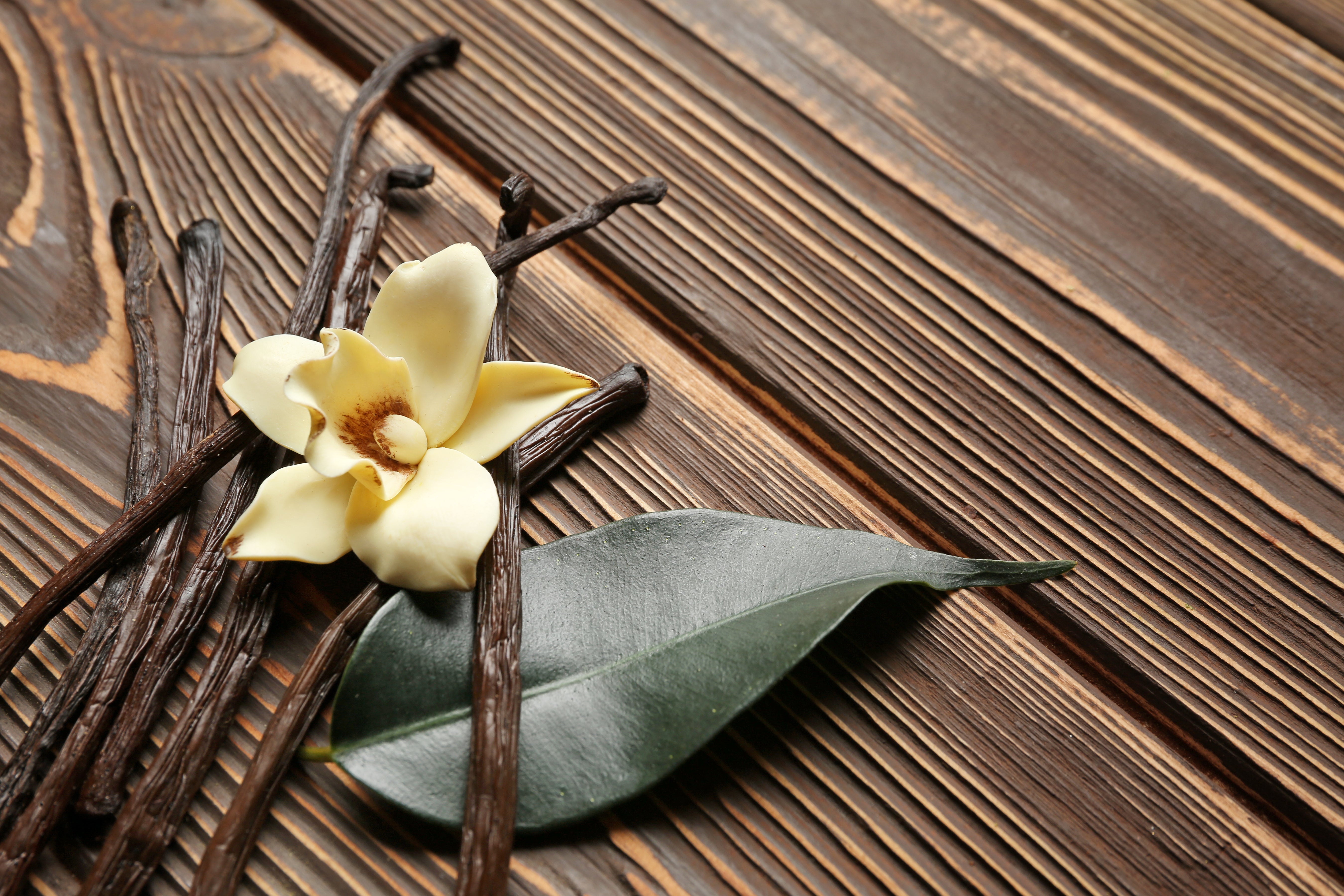 vanilla bean on vine being picked