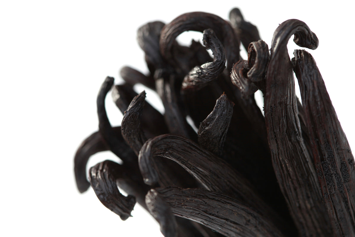Ecuadorian Vanilla Beans Whole Grade A Pods Vanilla Bean Kings