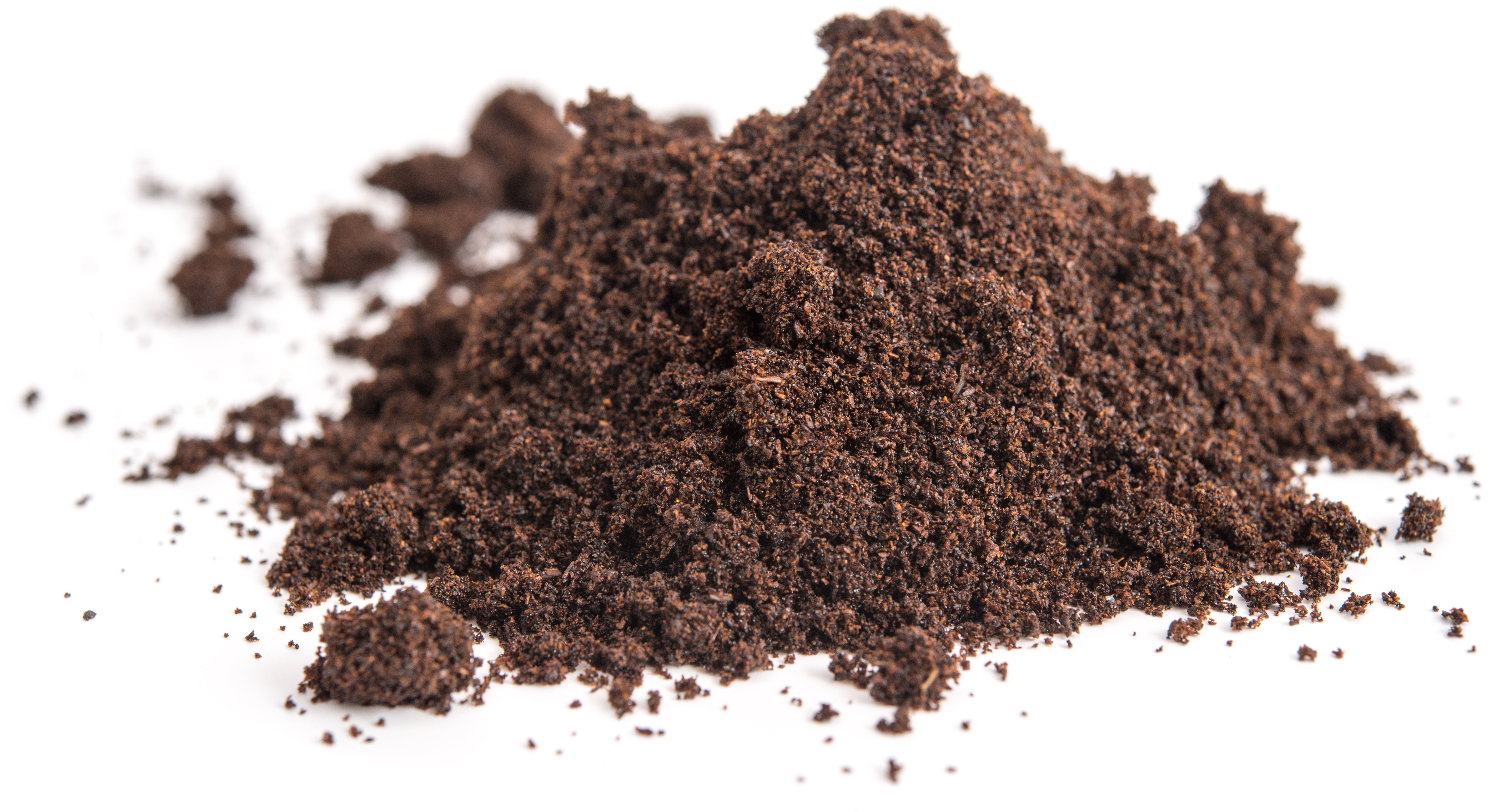 close up image of vanilla bean powder